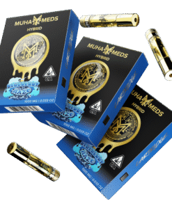 BLUEBERRY HAZE | HYBRID