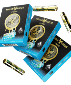 APPLE GELATO ICE | HYBRID