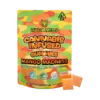 Mango Madness-Hybrid-100MG