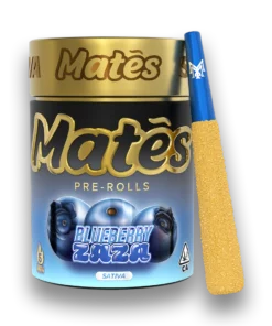 BLUEBERRY ZAZA- SATIVA1